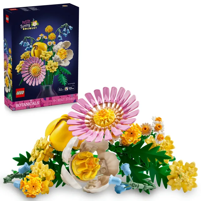 Zestaw LEGO 10347, zdjęcie 2 z 5