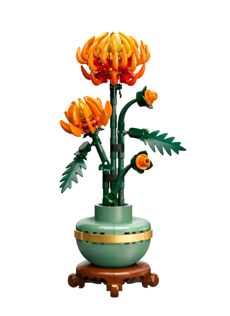 Zestaw LEGO 10368, zdjęcie 1 z 5