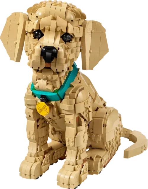 Zestaw LEGO 11384, zdjęcie 1 z 4
