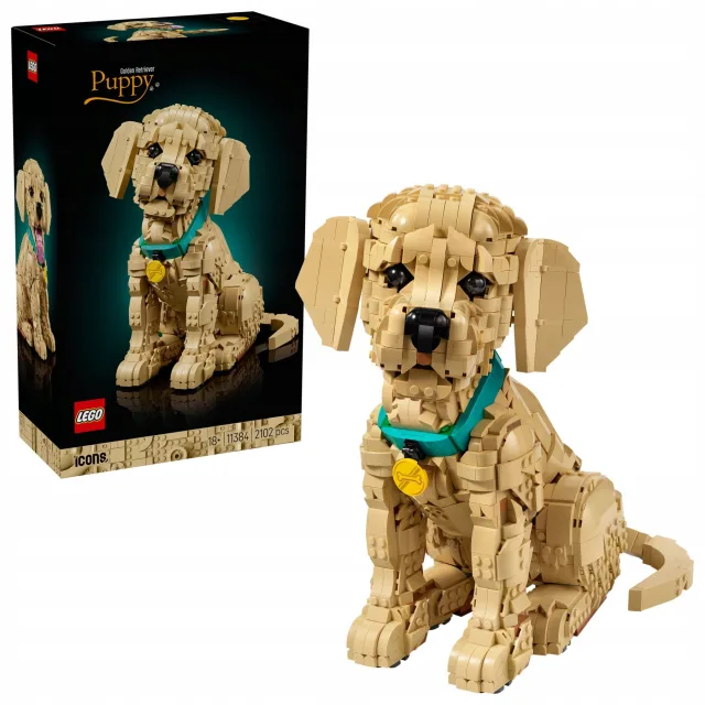 Zestaw LEGO 11384, zdjęcie 2 z 4