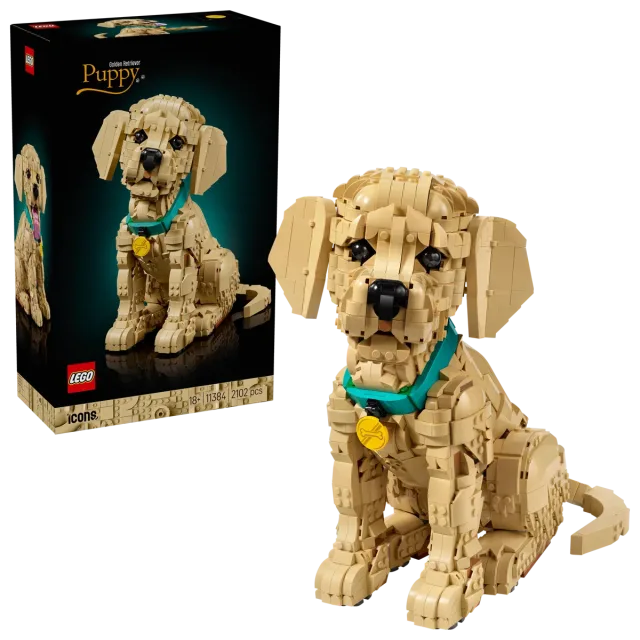 Zestaw LEGO 11384, zdjęcie 3 z 4