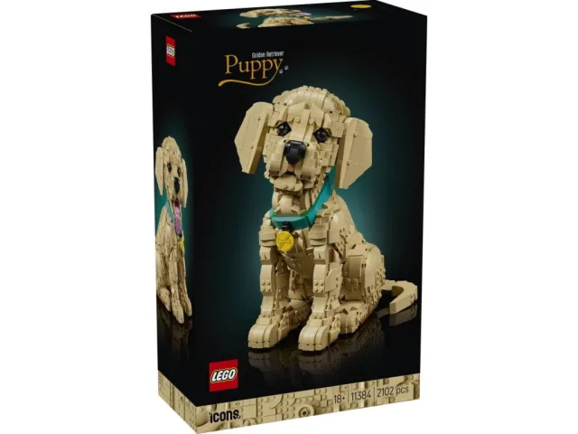 Zestaw LEGO 11384, zdjęcie 4 z 4