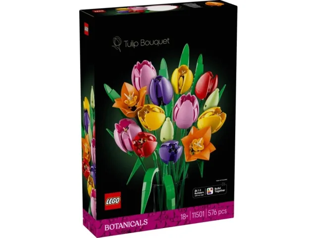 Zestaw LEGO 11501, zdjęcie 4 z 5
