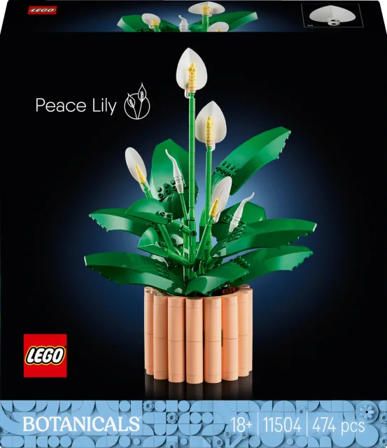 Zestaw LEGO 11504, zdjęcie 3 z 5