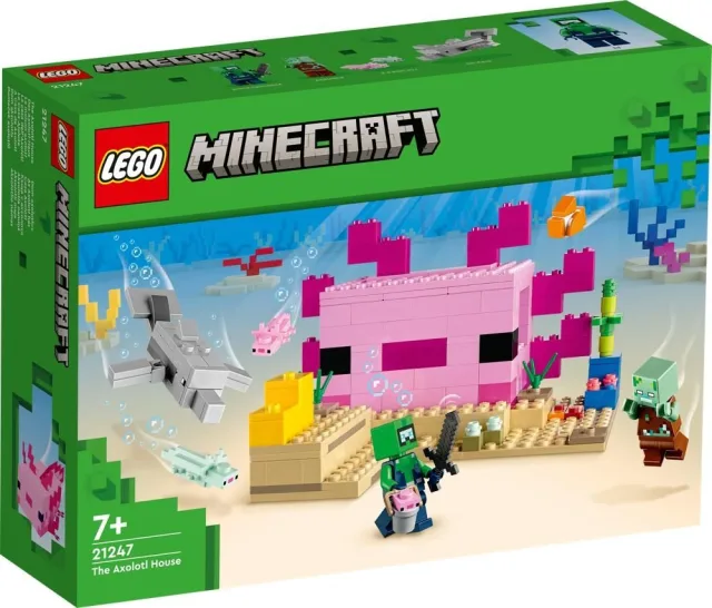 Zestaw LEGO 21247, zdjęcie 2 z 5