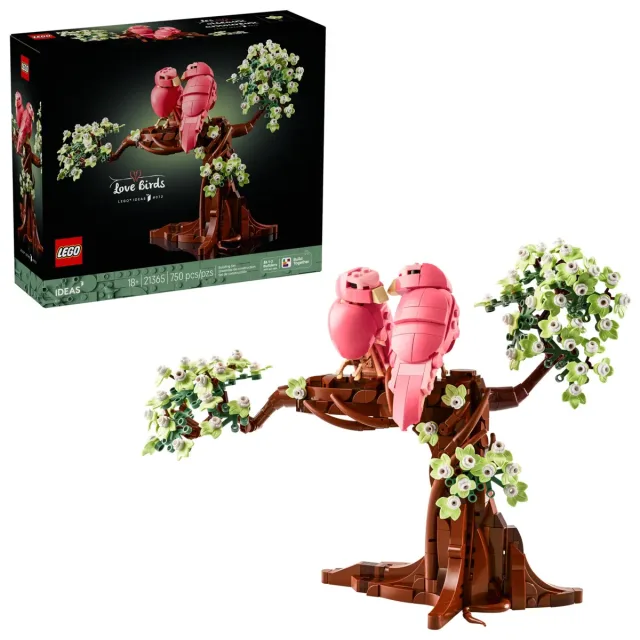 Zestaw LEGO 21365, zdjęcie 4 z 4