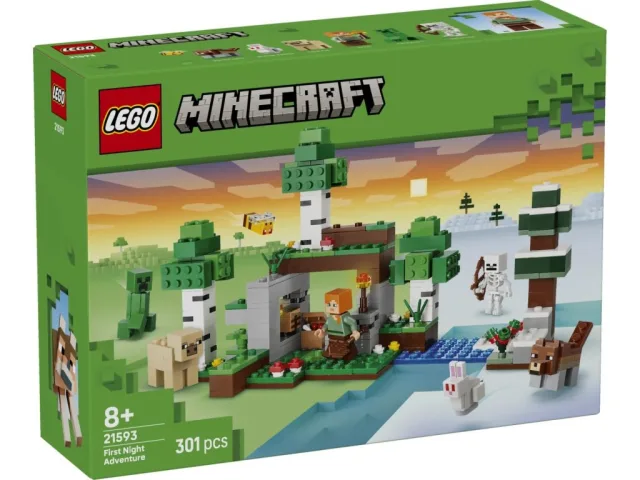 Zestaw LEGO 21593, zdjęcie 4 z 5