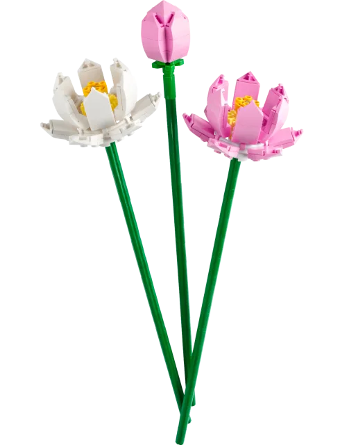 Zestaw LEGO 40647, zdjęcie 1 z 6