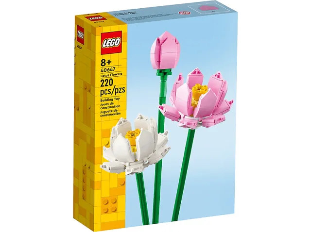 Zestaw LEGO 40647, zdjęcie 3 z 6