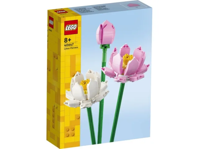 Zestaw LEGO 40647, zdjęcie 4 z 6