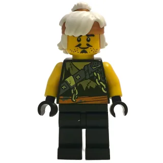 Teen Wu / Master Wu (Dragon Hunter Disguise)