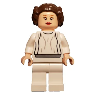 Princess Leia, White Robe, Dark Brown Hair, Plain Belt