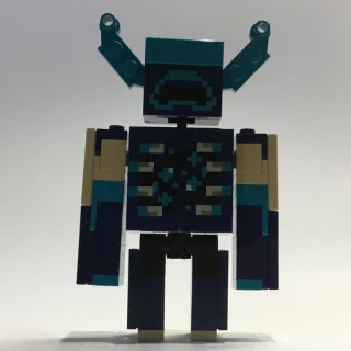 Warden