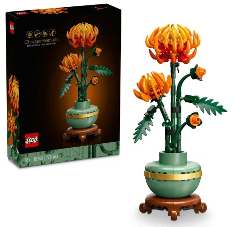 Chrysanthemum