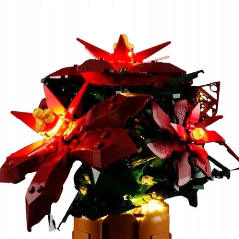 Poinsettia