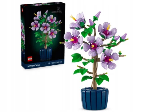 Hibiscus
