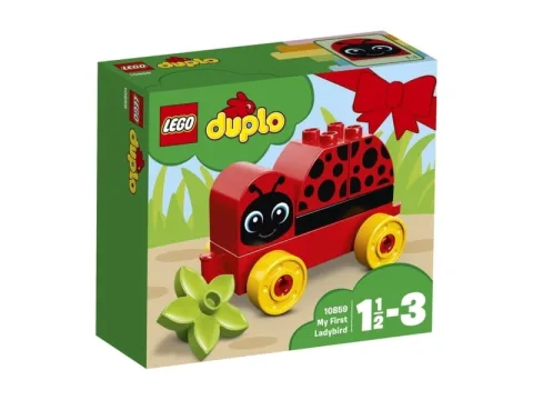 My First Ladybug