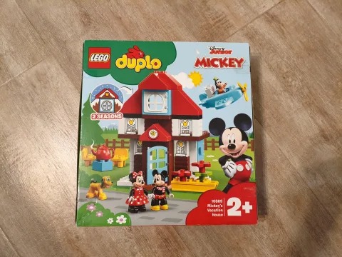Mickey's Vacation House