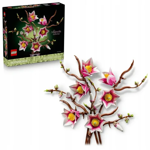 Gałązki magnolii