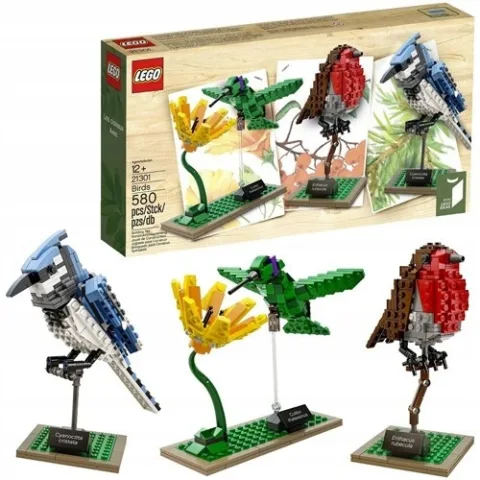 Opakowanie zestawu LEGO 21301