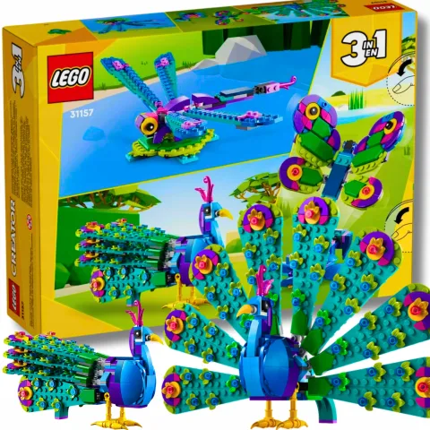  3w1 Egzotyczny paw motyl ważka