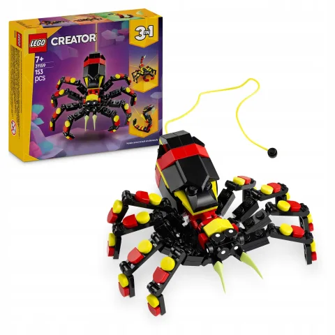 Dzikie zwierzę: niezwykły pająk