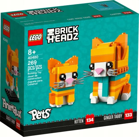 Opakowanie zestawu LEGO 40480
