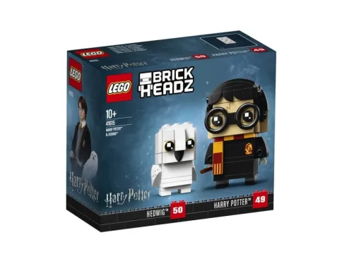 Harry Potter & Hedwig