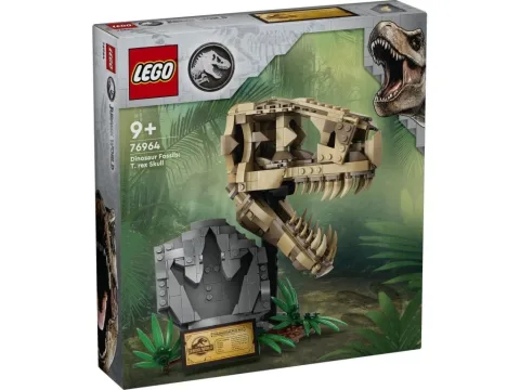 Szkielety dinozaurów czaszka tyranozaura