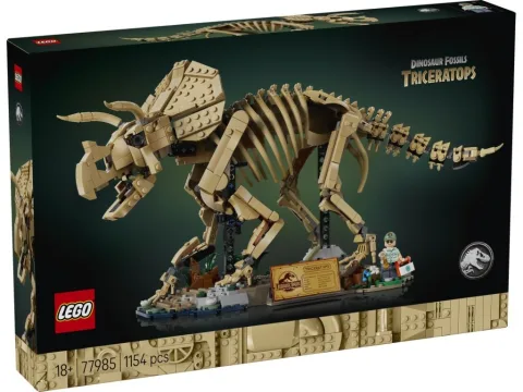 Szkielety dinozaurów